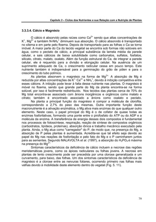 Capítulo 3 – Ciclos dos Nutrientes e sua Relação com a Nutrição de Plantas



3.3.3.4. Cálcio e Magnésio

        O cálcio é absorvido pelas raízes como Ca2+ sendo que altas concentrações de
K , Mg2+ e também N-NH4+ diminuem sua absorção. O cálcio absorvido é transportado
 +

no xilema e em parte pelo floema. Depois de transportado para as folhas o Ca se torna
imóvel. A maior parte do Ca do tecido vegetal se encontra sob formas não solúveis em
água, como o pectato de cálcio, a principal substância da lamela média da parede
celular, e sais cálcicos de baixa solubilidade como carbonatos, sulfatos, fosfatos,
silicato, citrato, malato, oxalato. Além da função estrutural do Ca, de integrar a parede
celular, ele é requerido para a divisão e elongação celular. Na ausência de um
suprimento adequado de Ca, o crescimento radicular cessa em pouco tempo. Este
nutriente também é indispensável para a germinação do grão de pólen e para o
crescimento do tubo polínico.
        As plantas absorvem o magnésio na forma de Mg2+. A absorção de Mg é
reduzida por altas concentrações de K+, Ca2+ e NH4+, devido à inibição competitiva entre
esses cátions. A inibição pode levar à falta desse nutriente nas plantas. O magnésio é
móvel no floema, sendo que grande parte do Mg da planta encontra-se na forma
solúvel, por isso é facilmente redistribuído. Nos tecidos das plantas cerca de 70% do
Mg total encontra-se associado com ânions inorgânicos e orgânicos como malato e
citrato; também é encontrado associado a ânions como oxalato e pectato.
        Na planta a principal função do magnésio é compor a molécula de clorofila,
correspondendo a 2,7% do peso das mesmas. Outra importante função deste
macronutriente é a ativação enzimática, o Mg ativa mais enzimas do que qualquer outro
elemento. Neste caso, o papel principal do Mg é o de cofator de quase todas as
enzimas fosforilativas, formando uma ponte entre o pirofosfato do ATP ou do ADP e a
molécula da enzima. A transferência de energia desses dois compostos é fundamental
nos processos de fotossíntese, respiração, reação de síntese de compostos orgânicos
(carboidratos, lipídeos, proteínas), absorção iônica e trabalho mecânico executado pela
planta. Ainda, o Mg atua como "carregador" do P, de modo que, na presença do Mg, a
absorção de P pelas plantas é aumentada. Acredita-se que tal efeito seja devido ao
papel do Mg nas reações de fosforilação e pelo fato do Mg e o P caminharem juntos
para as sementes. Segundo MALAVOLTA et al. (1997), a absorção do H2PO4 é máxima
na presença do Mg2+.
        Sintomas característicos da deficiência de cálcio incluem a necrose das regiões
meristemáticas jovens, como os ápices radiculares ou folhas jovens. A necrose em
plantas de lento crescimento pode ser precedida por uma clorose generalizada e um
curvamento, para baixo, das folhas. Um dos sintomas característicos da deficiência de
magnésio é a clorose entre as nervuras foliares, ocorrendo primeiro nas folhas mais
velhas devido à mobilidade deste elemento dentro do vegetal (Fig. 5. 11).




                                                                                           79
 