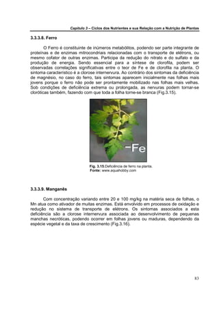 Capítulo 3 – Ciclos dos Nutrientes e sua Relação com a Nutrição de Plantas

3.3.3.8. Ferro

        O Ferro é constituinte de inúmeros metabólitos, podendo ser parte integrante de
proteínas e de enzimas mitrocondriais relacionadas com o transporte de elétrons, ou
mesmo cofator de outras enzimas. Participa da redução do nitrato e do sulfato e da
produção de energia. Sendo essencial para a síntese de clorofila, podem ser
observadas correlações significativas entre o teor de Fe e de clorofila na planta. O
sintoma característico é a clorose internervura. Ao contrário dos sintomas da deficiência
de magnésio, no caso do ferro, tais sintomas aparecem inicialmente nas folhas mais
jovens porque o ferro não pode ser prontamente mobilizado nas folhas mais velhas.
Sob condições de deficiência extrema ou prolongada, as nervuras podem tornar-se
cloróticas também, fazendo com que toda a folha torne-se branca (Fig.3.15).




                               Fig. 3.15.Deficiência de ferro na planta.
                               Fonte: www.aquahobby.com




3.3.3.9. Manganês

       Com concentração variando entre 20 e 100 mg/kg na matéria seca de folhas, o
Mn atua como ativador de muitas enzimas. Está envolvido em processos de oxidação e
redução no sistema de transporte de elétrons. Os sintomas associados a esta
deficiência são a clorose internervura associada ao desenvolvimento de pequenas
manchas necróticas, podendo ocorrer em folhas jovens ou maduras, dependendo da
espécie vegetal e da taxa de crescimento (Fig.3.16).




                                                                                           83
 