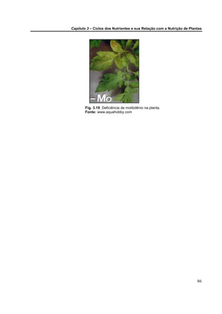 Capítulo 3 – Ciclos dos Nutrientes e sua Relação com a Nutrição de Plantas




       Fig. 3.19. Deficiência de molibdênio na planta.
       Fonte: www.aquahobby.com




                                                                       86
 