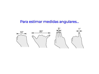 Para estimar medidas angulares...
 