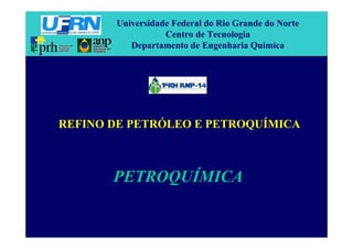 Universidade Federal do Rio Grande do Norte
Centro de Tecnologia
Departamento de Engenharia Química
PETROQUÍMICA
REFINO DE PETRÓLEO E PETROQUÍMICA
 