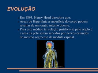 EVOLUÇÃO
 Em 1893, Henry Head descobre que:
 Áreas de Hiperalgia à superfície do corpo podem
resultar de um orgão interno doente.
 Para este médico tal relação justifica-se pelo orgão e
a área da pele serem servidos por nervos oriundos
do mesmo segmento da medula espinal.
 
