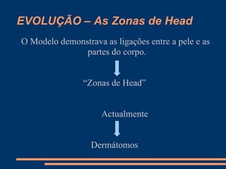 EVOLUÇÃO – As Zonas de Head
O Modelo demonstrava as ligações entre a pele e as
partes do corpo.
“Zonas de Head”
Actualmente
Dermátomos
 
