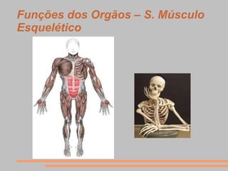 Funções dos Orgãos – S. Músculo
Esquelético
 