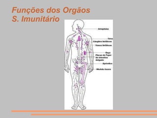 Funções dos Orgãos
S. Imunitário
 