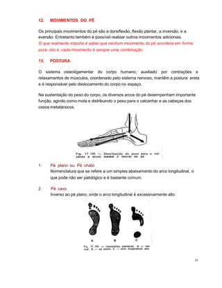 12. MOVIMENTOS DO PÉ
Os principais movimentos do pé são a dorsiflexão, flexão plantar, a inversão, e a
eversão. Entretanto também é possível realizar outros movimentos adicionais.
O que realmente importa é saber que nenhum movimento do pé acontece em forma
pura, isto é, cada movimento é sempre uma combinação.
13. POSTURA
O sistema osteoligamentar do corpo humano, auxiliado por contrações e
relaxamentos de músculos, coordenado pelo sistema nervoso, mantêm a postura ereta
e é responsável pelo deslocamento do corpo no espaço.
Na sustentação do peso do corpo, os diversos arcos do pé desempenham importante
função, agindo como mola e distribuindo o peso para o calcanhar e as cabeças dos
ossos metatársicos.
18
1. Pé plano ou Pé chato
Nomenclatura que se refere a um simples abaixamento do arco longitudinal, o
que pode não ser patológico e é bastante comum.
2. Pé cavo
Inverso ao pé plano, onde o arco longitudinal é excessivamente alto.
 