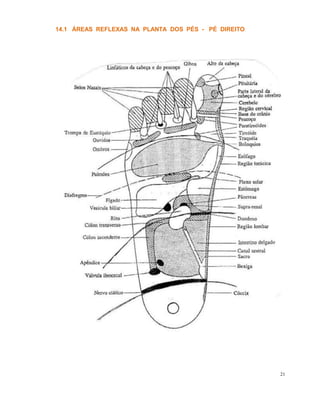 14.1 ÁREAS REFLEXAS NA PLANTA DOS PÉS - PÉ DIREITO
21
 