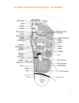 14.2 ÁREAS REFLEXAS NA PLANTA DOS PÉS - PÉ ESQUERDO
22
 