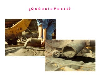 ¿Q u é e s l a P a s t a?
 