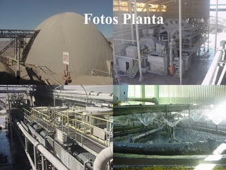 Fotos Planta
 