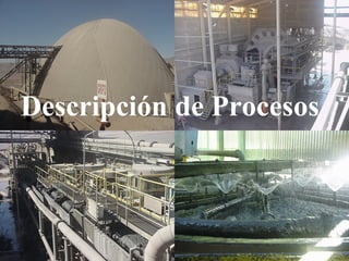 Descripción de Procesos
 