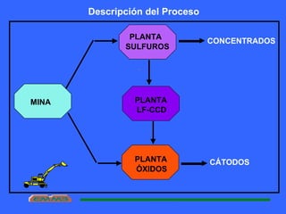 MINA
PLANTA
SULFUROS
PLANTA
LF-CCD
PLANTA
ÓXIDOS
.
Descripción del Proceso
CONCENTRADOS
CÁTODOS
 