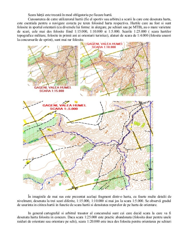 Orientare Suport De Curs
