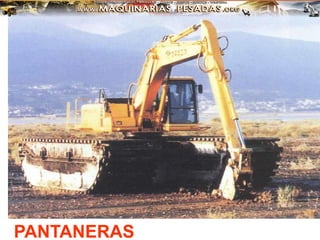 PANTANERAS
 