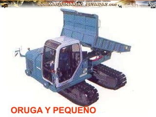 ORUGA Y PEQUEÑO
 