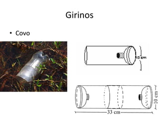 Girinos Covo 