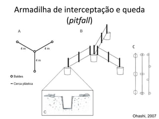 Armadilha de interceptação e queda ( pitfall ) Ohashi, 2007 C 