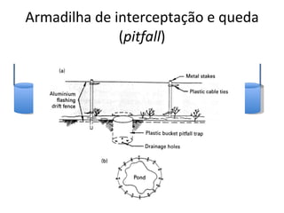 Armadilha de interceptação e queda ( pitfall ) 