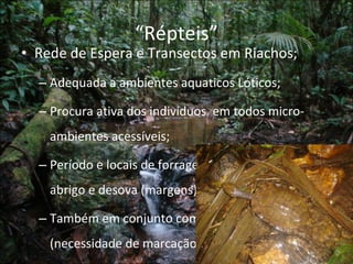 “ Répteis” Rede de Espera e Transectos em Riachos; Adequada a ambientes aquaticos Lóticos; Procura ativa dos indivíduos  em todos micro-ambientes acessíveis; Período e locais de forrageamento, aquecimento, abrigo e desova (margens); Também em conjunto com Captura manual (necessidade de marcação); 