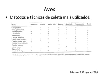 Aves Métodos e t é cnicas de coleta mais utilizados: Gibbons & Gregory, 2006 