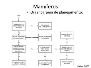 Mamíferos Organograma de planejamento : Krebs, 2006 