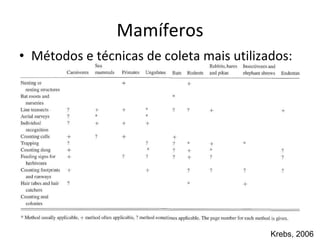 Mamíferos Métodos e t é cnicas de coleta mais utilizados: Krebs, 2006 