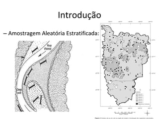 Introdução Amostragem Aleatória Estratificada: 