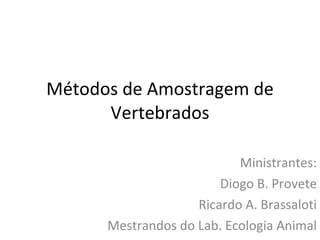 Métodos de Amostragem de Vertebrados Ministrantes: Diogo B. Provete Ricardo A. Brassaloti Mestrandos do Lab. Ecologia Animal 