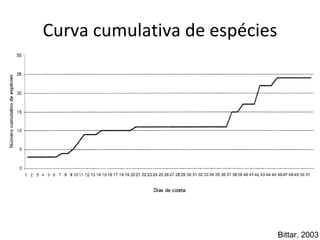 Curva cumulativa de espécies Bittar, 2003 