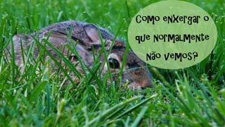 Como enxergar o
que normalmente
não vemos?
 