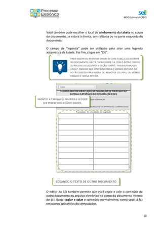 MÓDULO AVANÇADO
10
PARA INSERIR OU REMOVER LINHAS DE UMA TABELA JÁ EXISTENTE
NO DOCUMENTO, BASTA CLICAR SOBRE ELA COM O BOTÃO DIREITO
DO MOUSE E SELECIONAR A OPÇÃO “LINHA – INSERIR/REMOVER
LINHA”. OBSERVE QUE VOCÊ PODE USAR O MESMO RECURSO DO
BOTÃO DIREITO PARA INSERIR OU REMOVER COLUNAS, OU MESMO
EXCLUIR A TABELA INTEIRA.
Você também pode escolher o local de alinhamento da tabela no corpo
do documento, se estará à direita, centralizada ou na parte esquerda do
documento.
O campo de “legenda” pode ser utilizado para criar uma legenda
automática da tabela. Por fim, clique em “OK”.
O editor do SEI também permite que você copie e cole o conteúdo de
outro documento ou arquivo eletrônico no corpo do documento interno
do SEI. Basta copiar e colar o conteúdo normalmente, como você já faz
em outros aplicativos do computador.
PRONTO! A TABELA FOI INSERIDA E JÁ PODE
SER PREENCHIDA COM OS DADOS.
COLANDO O TEXTO DE OUTRO DOCUMENTO
 