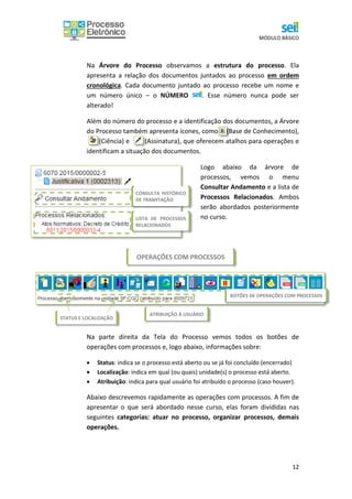 MÓDULO BÁSICO
12
Na Árvore do Processo observamos a estrutura do processo. Ela
apresenta a relação dos documentos juntados ao processo em ordem
cronológica. Cada documento juntado ao processo recebe um nome e
um número único – o NÚMERO . Esse número nunca pode ser
alterado!
Além do número do processo e a identificação dos documentos, a Árvore
do Processo também apresenta ícones, como (Base de Conhecimento),
asas(Ciência) e (Assinatura), que oferecem atalhos para operações e
identificam a situação dos documentos.
Logo abaixo da árvore de
processos, vemos o menu
Consultar Andamento e a lista de
Processos Relacionados. Ambos
serão abordados posteriormente
no curso.
Na parte direita da Tela do Processo vemos todos os botões de
operações com processos e, logo abaixo, informações sobre:
 Status: indica se o processo está aberto ou se já foi concluído (encerrado)
 Localização: indica em qual (ou quais) unidade(s) o processo está aberto.
 Atribuição: indica para qual usuário foi atribuído o processo (caso houver).
Abaixo descrevemos rapidamente as operações com processos. A fim de
apresentar o que será abordado nesse curso, elas foram divididas nas
seguintes categorias: atuar no processo, organizar processos, demais
operações.
OPERAÇÕES COM PROCESSOS
CONSULTA HISTÓRICO
DE TRAMITAÇÃO
LISTA DE PROCESSOS
RELACIONADOS
BOTÕES DE OPERAÇÕES COM PROCESSOS
STATUS E LOCALIZAÇÃO
ATRIBUIÇÃO À USUÁRIO
 