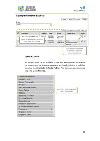 MÓDULO BÁSICO
53
TEXTO PADRÃO
Se, nos processos de sua unidade, houver um texto que seja recorrente
em documentos de diversos processos, você pode otimizar o trabalho
usando a funcionalidade do Texto Padrão. Para começar, selecione essa
opção no Menu Principal.
]
CLIQUE NO NÚMERO DO PROCESSO
PARA ABRIR SUA ÁRVORE
CLIQUE NOS ÍCONES PARA
ALTERAR OU EXCLUIR O
ACOMPANHAMENTO
NO MENU PRINCIPAL, CLIQUE
EM TEXTOS PADRÃO.
 