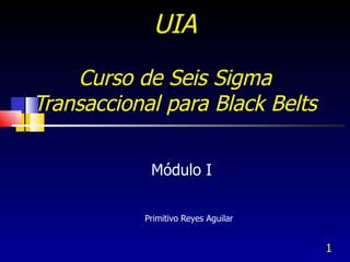 UIA   Curso de Seis Sigma Transaccional para Black Belts Primitivo Reyes Aguilar  Módulo I 
