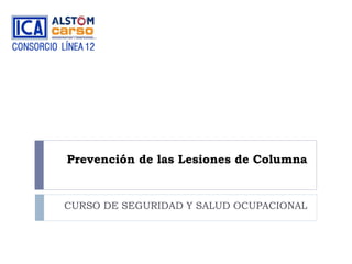 Prevención de las Lesiones de Columna

CURSO DE SEGURIDAD Y SALUD OCUPACIONAL

 