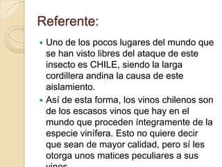 Referente:
Uno de los pocos lugares del mundo que
se han visto libres del ataque de este
insecto es CHILE, siendo la larga
cordillera andina la causa de este
aislamiento.
 Así de esta forma, los vinos chilenos son
de los escasos vinos que hay en el
mundo que proceden íntegramente de la
especie vinífera. Esto no quiere decir
que sean de mayor calidad, pero sí les
otorga unos matices peculiares a sus


 