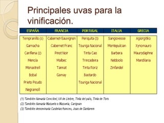 Principales uvas para la
vinificación.

 