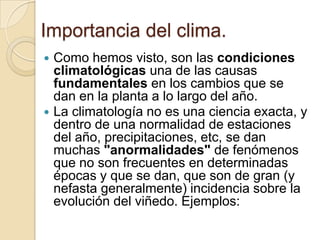 Importancia del clima.




Como hemos visto, son las condiciones
climatológicas una de las causas
fundamentales en los cambios que se
dan en la planta a lo largo del año.
La climatología no es una ciencia exacta, y
dentro de una normalidad de estaciones
del año, precipitaciones, etc, se dan
muchas "anormalidades" de fenómenos
que no son frecuentes en determinadas
épocas y que se dan, que son de gran (y
nefasta generalmente) incidencia sobre la
evolución del viñedo. Ejemplos:

 
