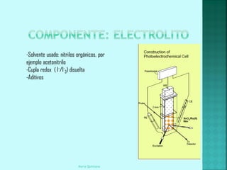 -Solvente usado: nitrilos orgánicos, por
ejemplo acetonitrilo
-Cupla redox ( I-/I-3) disuelta
-Aditivos




                          Maria Quintana
 