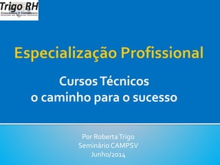 CursosTécnicos
o caminho para o sucesso
Por RobertaTrigo
Seminário CAMPSV
Junho/2014
 