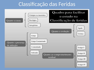 Classificação das Feridas
 