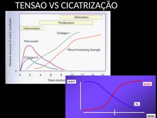 TENSAO VS CICATRIZAÇÃO
 