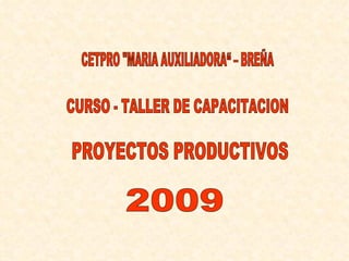 CURSO - TALLER DE CAPACITACION PROYECTOS PRODUCTIVOS CETPRO &quot;MARIA AUXILIADORA“ – BREÑA 2009 