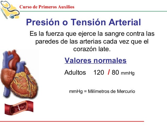 El Nolotil Sube O Baja La Tension Arterial