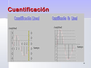 4545
CuantificaciónCuantificación
 