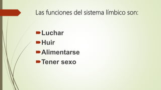Las funciones del sistema límbico son:
Luchar
Huir
Alimentarse
Tener sexo
 