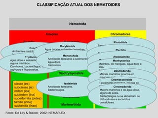Nematoda
Enoplea Chromadorea
Enoplia Dorylaimia Chromadoria
Enoplida Dorylaimida Rhabditida
Triplonchida Mermithida Plectida
Mononchida Araeolaimida
Dioctophymatida Monhysterida
Trichinellida Desmodorida
Isolaimida Desmoscolecida
Muspiceida Chromadorida
Marimerthida
CLASSIFICAÇÃO ATUAL DOS NEMATOIDES
classe (ea)
subclasse (ia)
ordem (ida)
subordem (ina)
superfamilia (oidea)
familia (idae)
subfamilia (inae)
Fonte: De Ley & Blaxter, 2002; NEMAPLEX
Enoplida
Ambientes marinhos/ água doce ou
terrestres alagados
Carnívoros, bacteriófagos e algívoros.Triplonchida
Água doce e ambientes terrestres,
alguns marinhos.
Carnívoros, bacteriófagos, fungívoros
algívoros e fitoparasitas.
Dorylaimida
Água doce e ambientes terrestres,
alguns marinhos.
Carnívoros, fungívoros, algívoros e
fitoparasitas.
Mononchida
Ambientes terrestres a sedimentos de
água doce.
Carnívoros
Isolaimida
Ambientes terrestres.
Bacteriófagos.
Rhabditida
Parasitas de plantas e animais,
bacteriófagos e fungívoros.
Solo e água doce.
Plectida
Solo, marihos e água doce.
Bacteriófagos e predadores de
organismos unicelulares.
Araeolaimida
Marinhos e de mangues.
Muitos são bacteriófagos e alguns
algívoros.
Monhysterida
Marinhos, de mangues, água doce e
solo.
Bacteriófagos, algívoros e outros
organismos unicelulares.
.
Desmodorida
Maioria marinhos, poucos em
mangues e água doce.
Bacteriófagos ou se alimentam de
diatomáceas e eucariotos
unicelulares.
Desmoscolecida
Tipicamente marinhos, poucos de
água doce ou solos.
Bacteriófagos ou se alimentam de
diatomáceas e eucariotos
unicelulares.
Chromadorida
Maioria marinhos e de água doce,
alguns de solos.
Bacteriófagos ou se alimentam de
diatomáceas e eucariotos
unicelulares.
.
 