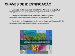 CHAVES DE IDENTIFICAÇÃO
 Gêneros de fitoparasitas importantes Mekete et al. (2012):
http://plpnemweb.ucdavis.edu/nemaplex/Plntpara/KeyGenPltFdrsn.htm
 Gêneros de fitoparasitas no Brasil – Ferraz (2012):
nematologia.com.br/wp-content/uploads/2013/07/nemkeymex.pdf
 Espécies de Pratylenchus – Gonzaga, Santos e Soares (2012):
nematologia.com.br/wp-content/uploads/2012/08/chavigo.pdf
 