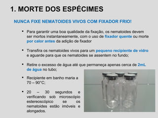 1. MORTE DOS ESPÉCIMES
NUNCA FIXE NEMATOIDES VIVOS COM FIXADOR FRIO!
 Para garantir uma boa qualidade da fixação, os nematoides devem
ser mortos instantaneamente, com o uso de fixador quente ou morte
por calor antes da adição de fixador
 Transfira os nematoides vivos para um pequeno recipiente de vidro
e aguarde para que os nematoides se assentem no fundo;
 Retire o excesso de água até que permaneça apenas cerca de 2mL
de água no tubo;
 Recipiente em banho maria a
70 – 90°C;
 20 – 30 segundos e
verificando sob microscópio
estereoscópico se os
nematoides estão imóveis e
alongados.
 