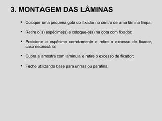 3. MONTAGEM DAS LÂMINAS
 Coloque uma pequena gota do fixador no centro de uma lâmina limpa;
 Retire o(s) espécime(s) e coloque-o(s) na gota com fixador;
 Posicione o espécime corretamente e retire o excesso de fixador,
caso necessário;
 Cubra a amostra com lamínula e retire o excesso de fixador;
 Feche utilizando base para unhas ou parafina.
 